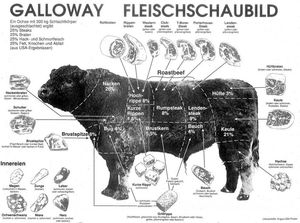 Fleischschaubild Galloway-Gesundheitsfleisch